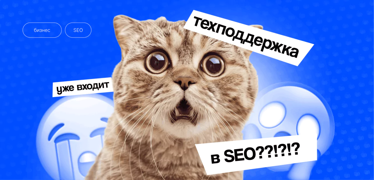 Искали медь — нашли золото ( SEO + Тех. поддержка)